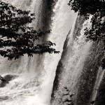 fot. Katarzyna Kaliszuk fot. Katarzyna Kaliszuk