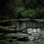 fot. Elżbieta Starościk fot. Elżbieta Starościk