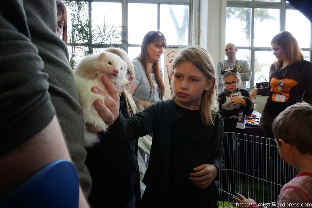 Tutaj mina zwierzaka i dziewczynki świetnie do siebie pasują?