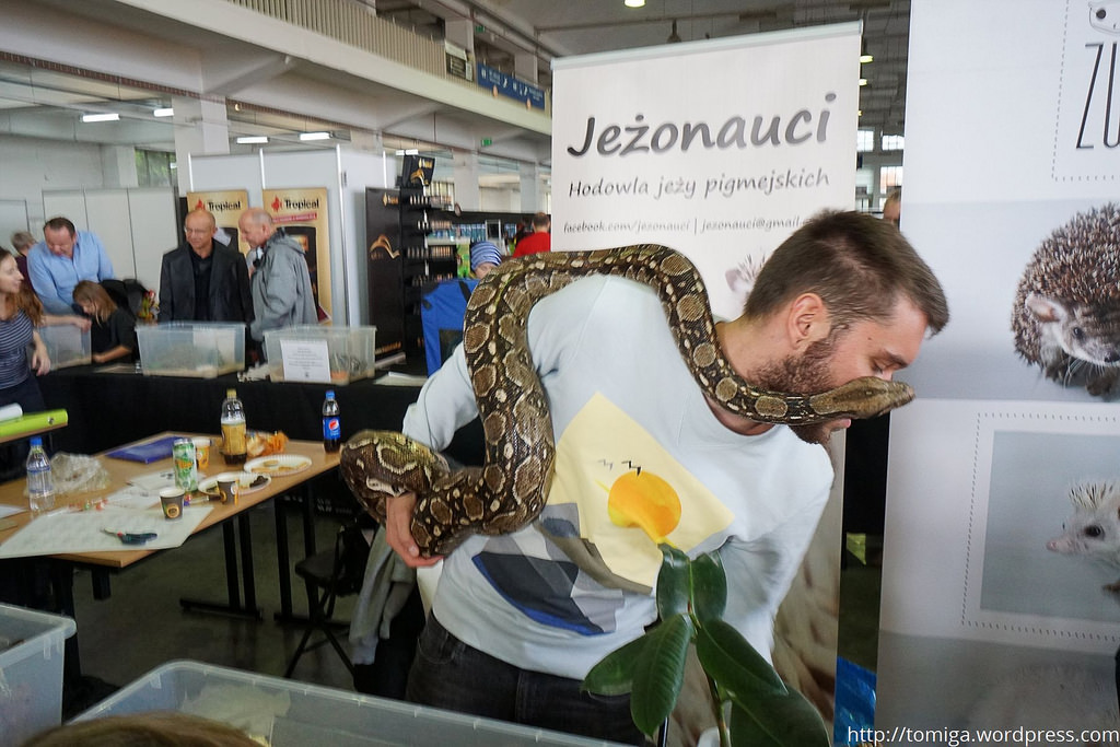 Wyginam śmiało ciało…