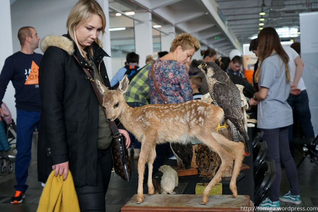 Czasami może być to relacja wzrokowa (figury geometryczne jak np. trójkąt – który tutaj tworzą linie wzroku ptaka, sarny oraz dziewczyny – to jedne z ulubionych tematów na zdjęciach fotografów ulicznych). Dlatego też „rower w kadrze zawsze robi dobrze zdjęciu” (dwa koła i trójkąt)?.