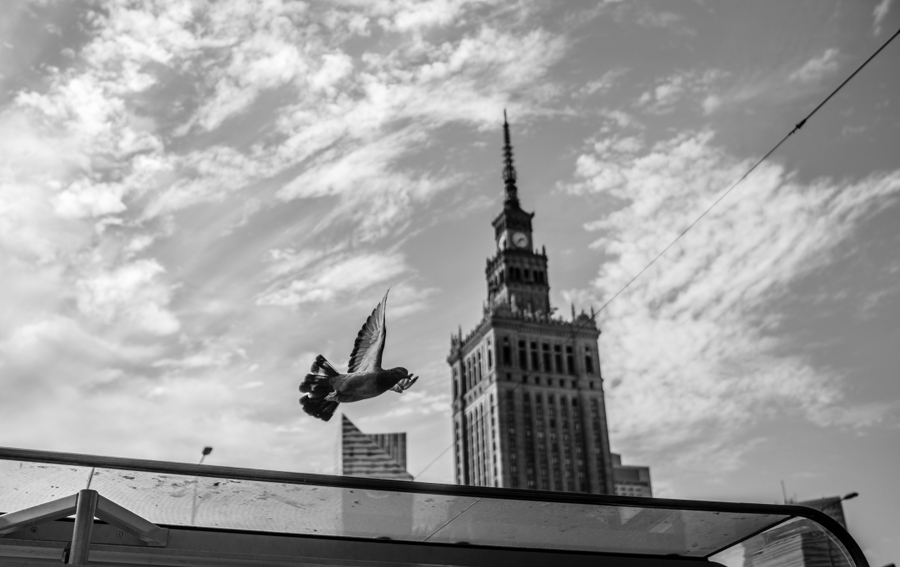 fot. Agnieszka Mocarska