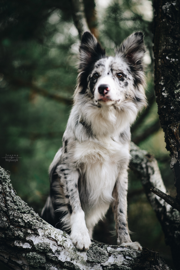 fot. Joanna Wojtaszyk