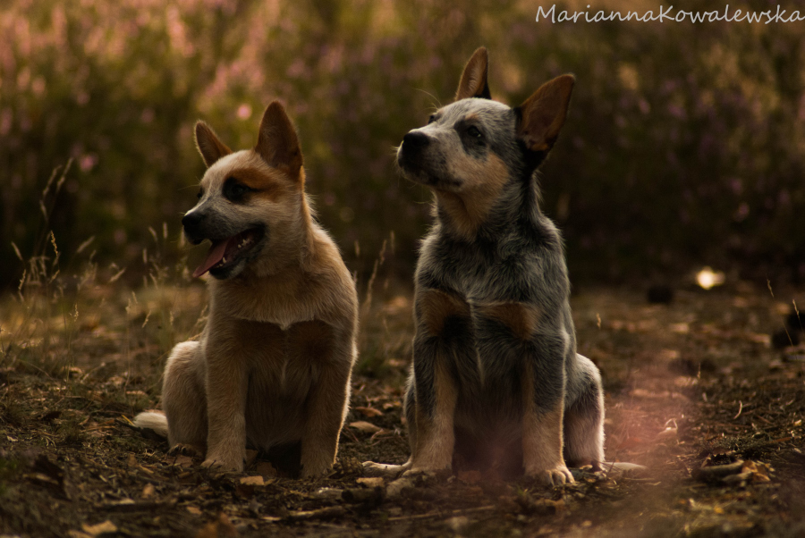 fot. Marianna Kowalewska