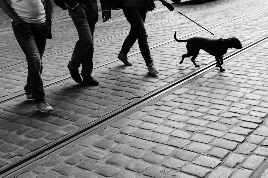 StreetPhoto14