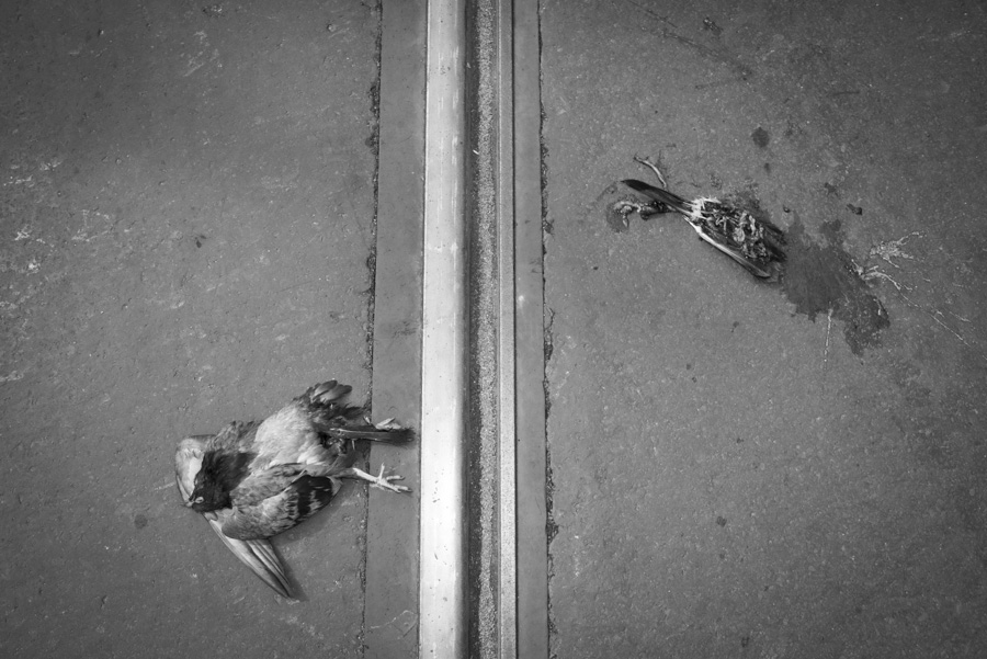krakow street KB 4923