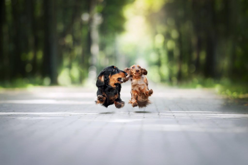 15 7 29 kseniaraykova 14 54 17 48 1