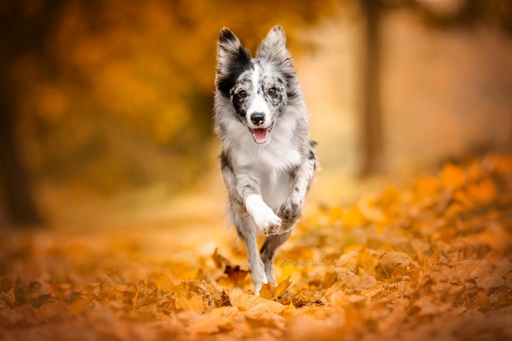 465071215 27386392314309747 2107780417600030548 n