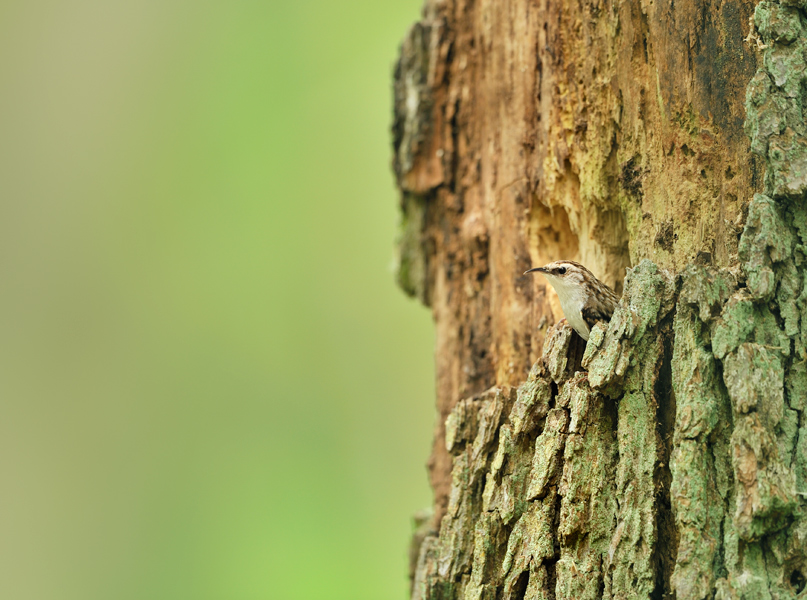 116 3356f708 zoom 1