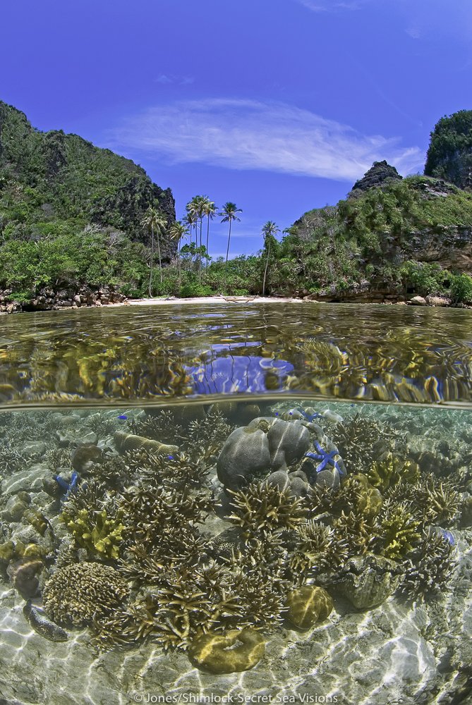 Scenic split image