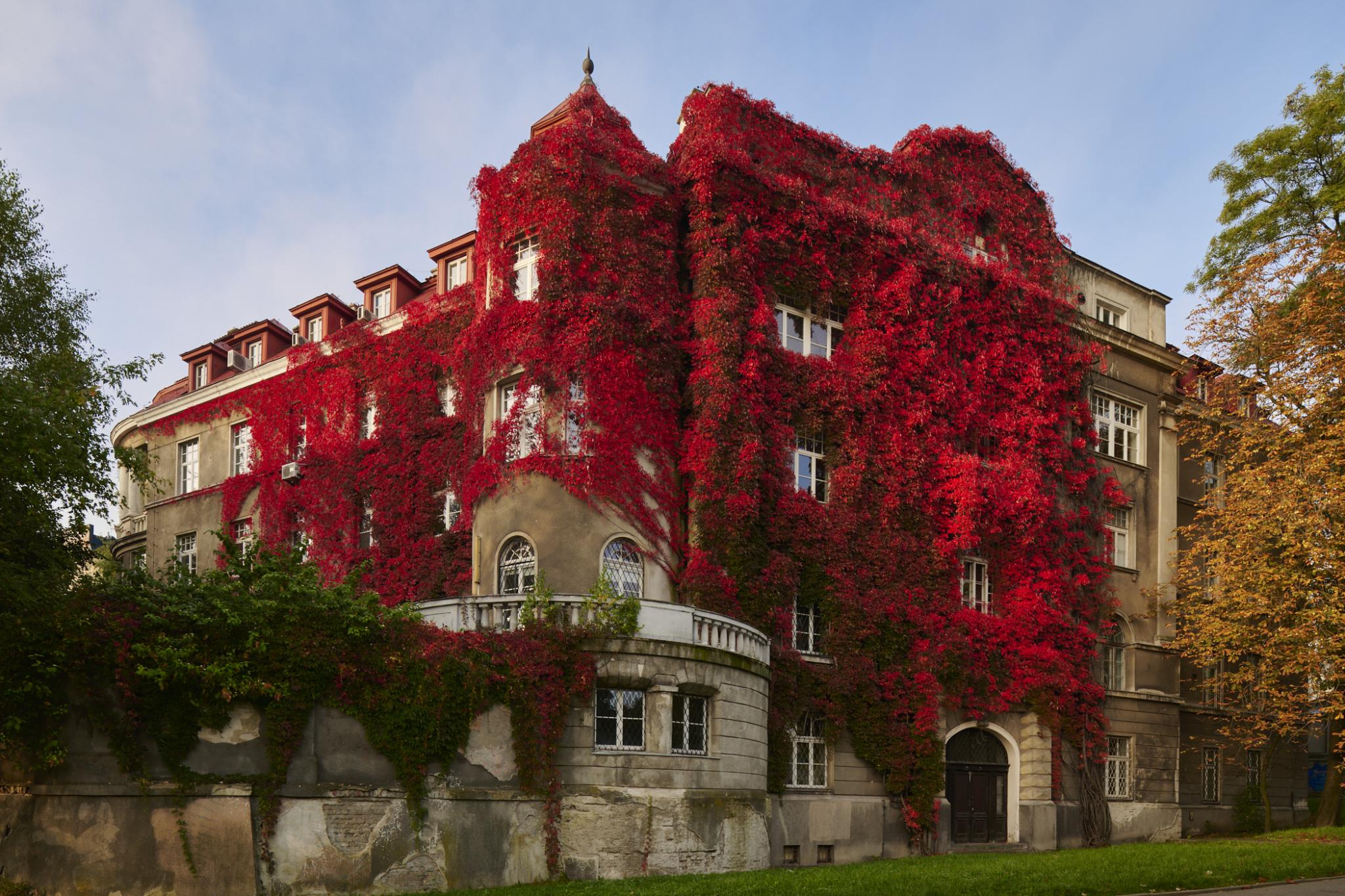 warsztaty fotografii architektury