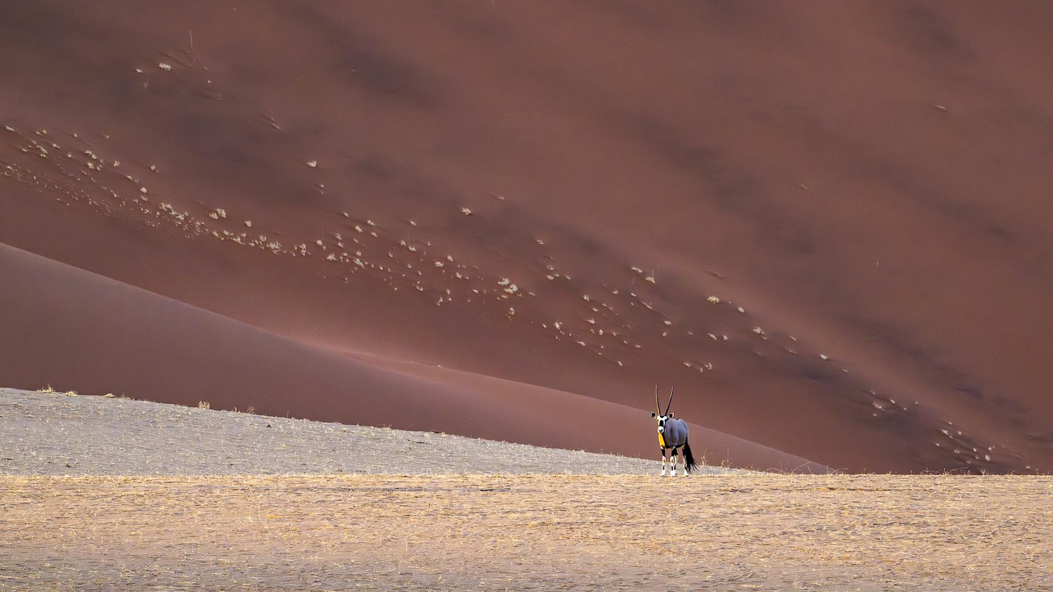 Artur Stankiewicz | Fotograf miesiąca